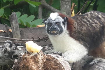 Soberania National Park, Monkey Island and Indian Village from Panama City