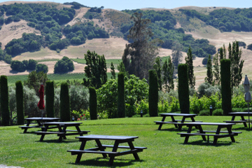 Sonoma Valley Wine Tasting and Alcatraz Combo Tour