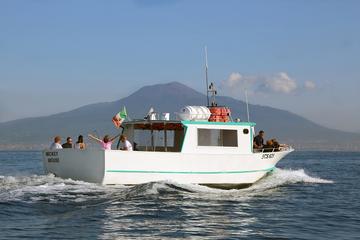 Sorrento to Pompeii and Mt. Vesuvius by Boat