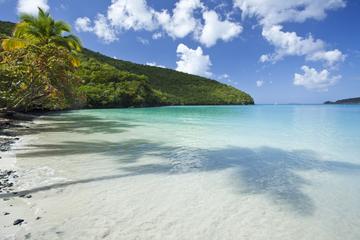 Sosua Glass Bottom Snorkel Tour from Puerto Plata