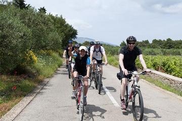 Split Bike Tour: City Highlights by Standard or Electric Bike