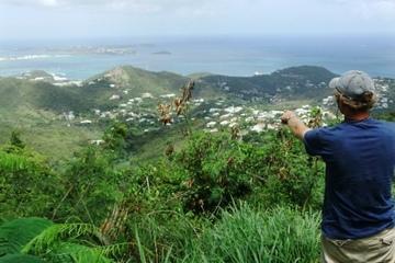 St Maarten Island Nature and Snorkel Tour