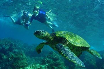 St Maarten Private Sightseeing and Snorkeling Cruise