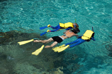 St Maarten Shore Excursion: Sand Dollar Half Day Snorkel Trip