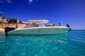 St Maarten Shore Excursion: Snorkeling and Speed Boat Tour