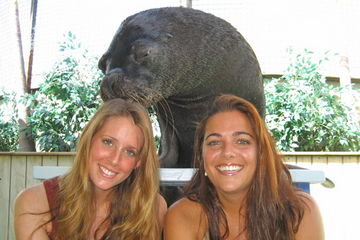 St Thomas Shore Excursion: Sea Lion Encounter at Coral World Adventure Park