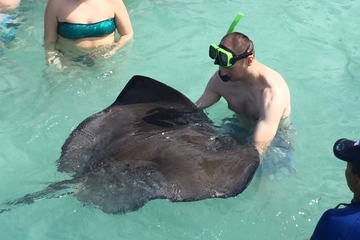 Stingray City plus Famous Beaches and History in Antigua