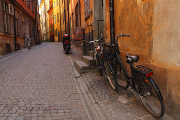 Stockholm Sightseeing Tour by Bike