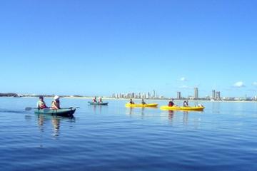 Stradbroke Island Kayak and Snorkeling Tour