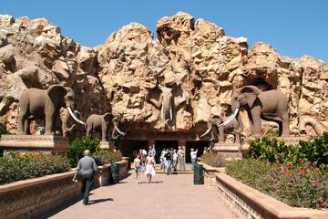 Sun City Day Tour from Johannesburg