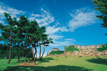 Suwon Hwaseong Fortress Half-Day Small-Group Tour