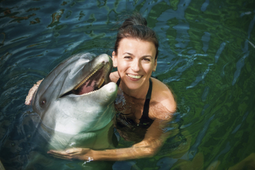 Swim with the Dolphins at Sea Life Park in Oahu