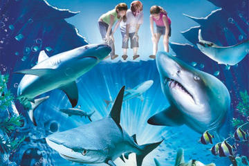 Sydney Shore Excursion: Skip-the-Line SEA LIFE Sydney Aquarium Entrance Ticket