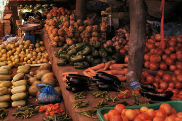 Tanzania Village Coffee and Community Tour from Arusha Including Lunch with a Local