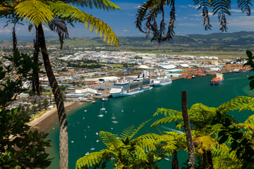 Tauranga Shore Excursion: Mt Drury and Moturiki Island Walking Tour including Mount Hot Pools Admission