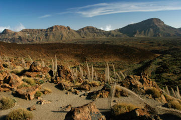 Tenerife Shore Excursion: Private Teide National Park and Winery Tour with Lunch