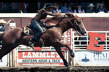 The Calgary Stampede