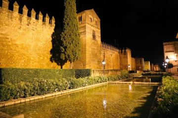 The Glory of Cordoba Evening Walking Tour