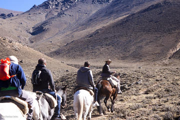 The Real Gaucho Day Trip from Mendoza: Don Daniel Ranch