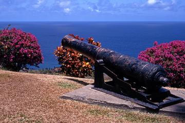 Tobago Island Sightseeing and Plantation Tour