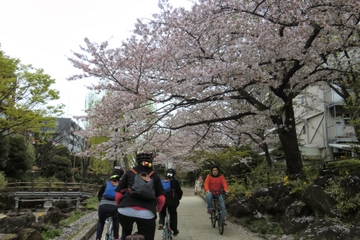Tokyo by Bike: Skytree, Kiyosumi Garden and Sumo Stadium