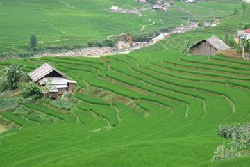 Topas Ecolodge and Red Dao Village Day Tour from Sapa Town