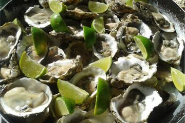Tour Oyster Experience in Florianópolis
