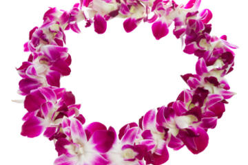 Traditional Lei Greeting in Kona