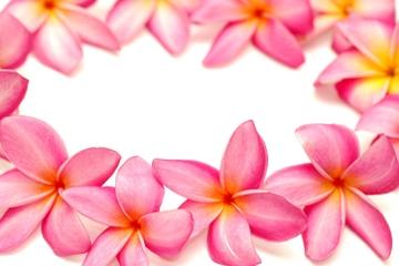 Traditional Lei Greeting on Maui