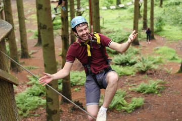 Tree Top Adventure in Snowdonia