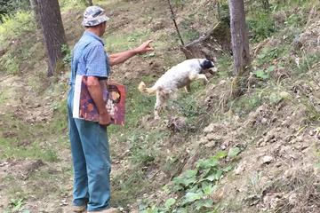 Truffle Hunting and Barolo Wine Tasting Half-Day Tour