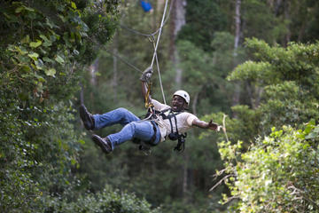 Tsitsikamma Canopy Tour