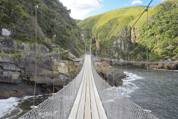 Tsitsikamma National Park Day Trip from Knysna