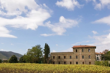Tuscan Wine Tasting in Val di Chio