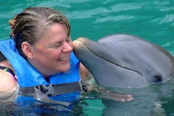 Ultimate Swim Dolphin Program in Ocho Rios