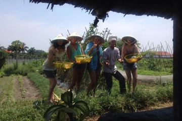 Unique Healthy Cooking Class from Ho Chi Minh City