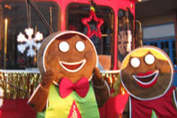 Vancouver Holiday Lights and Karaoke Trolley Tour