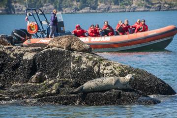 Vancouver Private Ocean Adventure