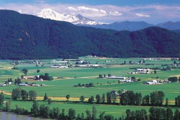 Vancouver Shore Excursion: Fraser Valley Wine Country Day Trip from Vancouver