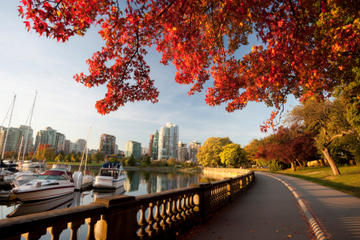 Vancouver Shore Excursion: Vancouver City Sightseeing