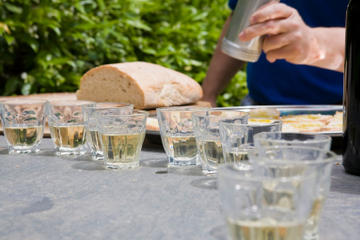 Veneto Small-Group Wine Tasting Tour