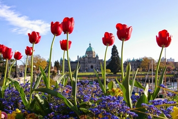 Viator Exclusive: 2-day Victoria Tour from Vancouver including Butchart Gardens