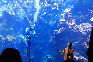Viator Exclusive: California Academy of Sciences Early-Access Admission