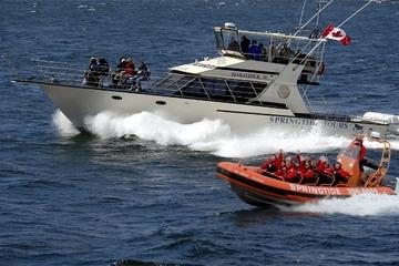 Victoria Bird and Sea Lion Tour