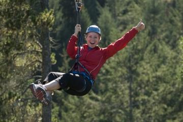 Victoria Shore Excursion: Small-Group Zipline Adventure