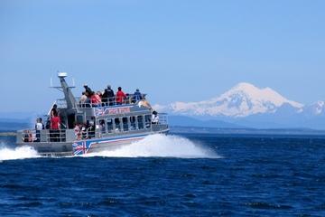Victoria Shore Excursion: Whale-Watching Cruise with Expert Naturalist Guides