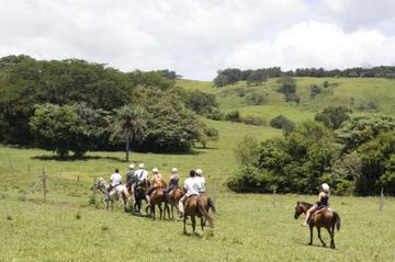 Vida Aventura Park in Guanacaste: Zipline Tour, Horseback Ride and Hot Springs