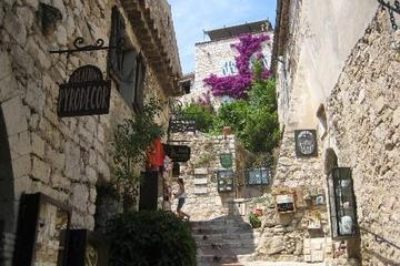 Villefranche Shore Excursion: Private Day Trip to Monaco, Eze and Nice
