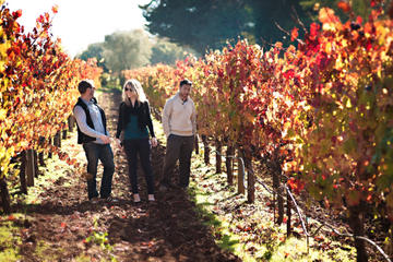 Vine to Wine Napa and Sonoma Day Trip with Tastings and Organic Winery Tour