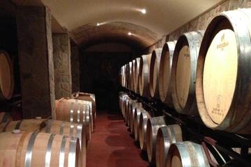 Vines and Wines Tour